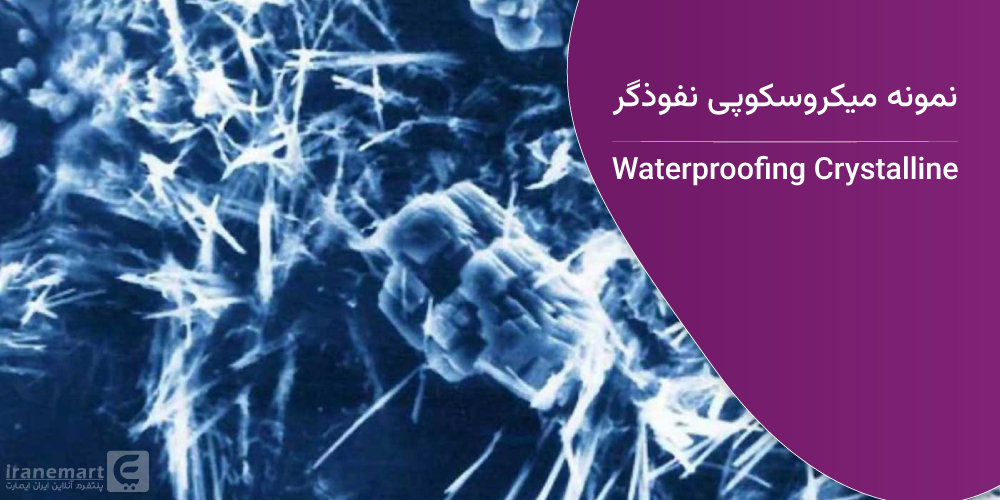 نمونه میکروسکوپی نفوذگر کریستال شونده