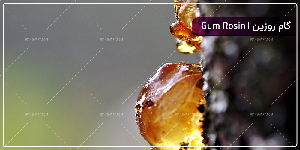 کاربردهای گام روزین