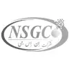 مهندسی تخصصی NSG